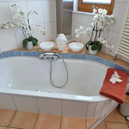 Sonnenhuesli Mit Sauna Und Whirlpool Auch Hunde Sind Herzlich Willkommen Lenzkirch