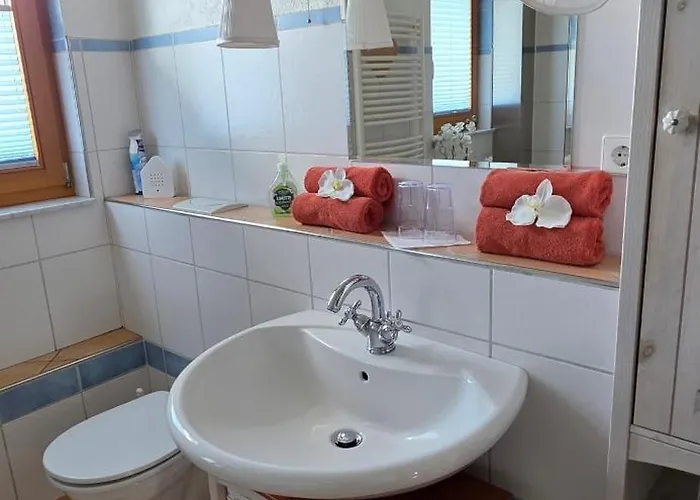 Sonnenhuesli Mit Sauna Und Whirlpool Auch Hunde Sind Herzlich Willkommen Lenzkirch